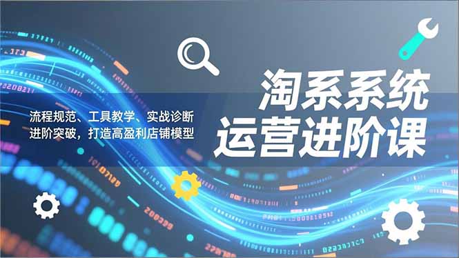 淘系系统运营进阶课2.0，流程规范、工具教学、实战诊断，进阶突破，打造高盈利店铺模型-优创库云网创