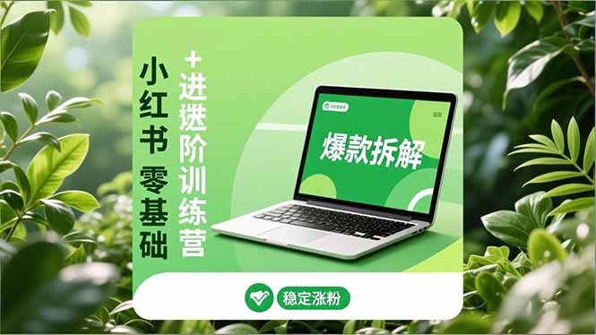 小红书零基础+高阶训练营：安全养号、爆款拆解、长效运营，实现稳定涨粉与变现-优创库云网创
