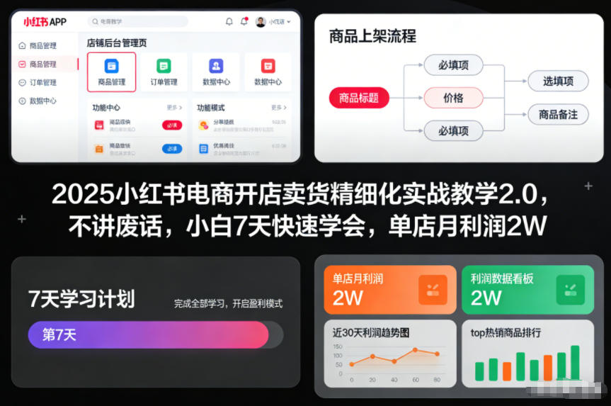 2025小红书电商开店卖货精细化实战教学2.0，不讲废话，小白7天快速学会，单店月利润2W-优创库云网创