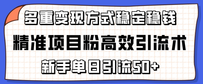 精准项目粉高效引流术，新手单日引流50+，多重变现方式稳定赚钱-优创库云网创