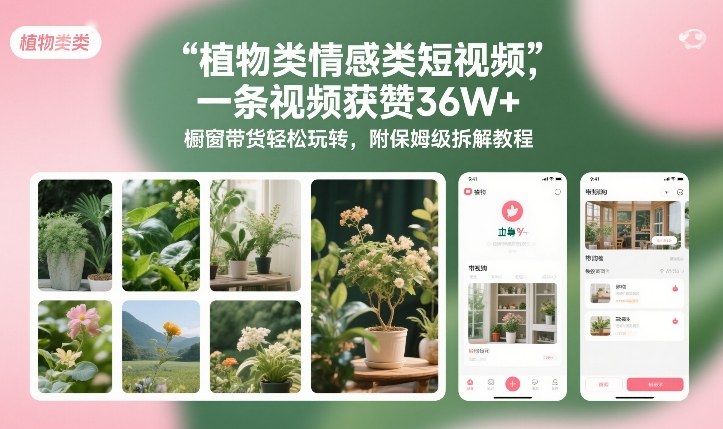 植物类情感类短视频，一条视频获赞36W+，橱窗带货轻松玩转，附保姆级拆解教程-优创库云网创