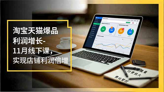 淘宝天猫爆品利润增长-11月线下课，免费流量、付费放大、费比管控，实现店铺利润倍增-优创库云网创