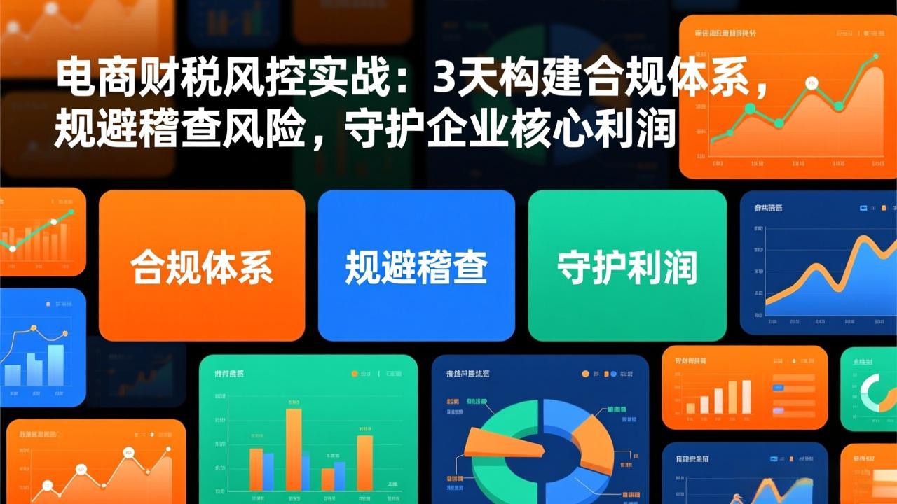 电商财税风控实战：3天构建合规体系，规避稽查风险，守护企业核心利润-优创库云网创